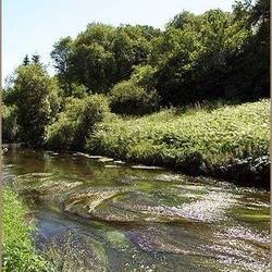 peche ruisseau